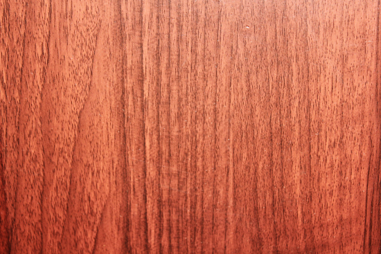 Maple tree plywood
