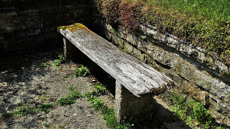 Rotting outdoor wooden bench