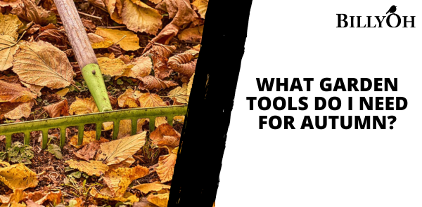 What Garden Tools Do I Need for Autumn?