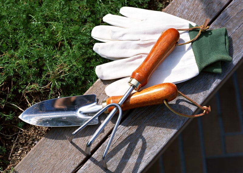 Garden hand tools on wood