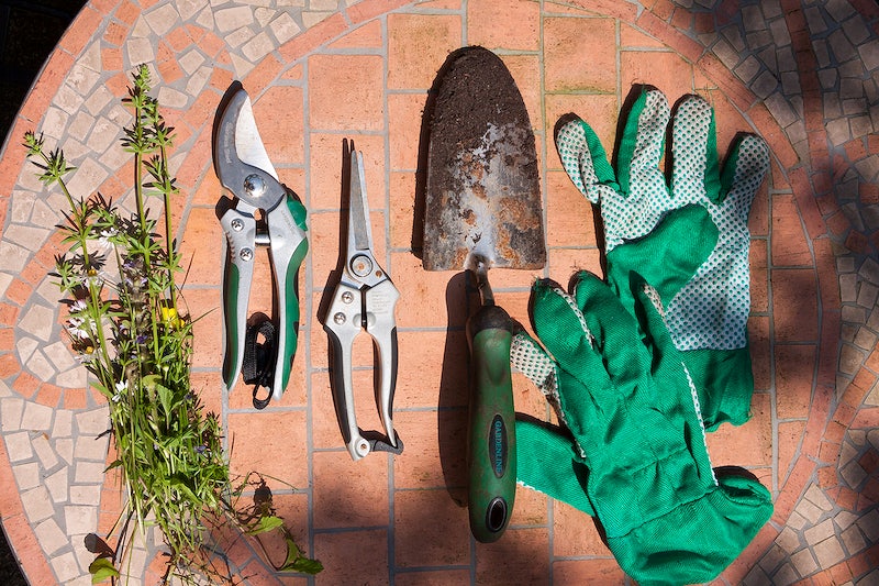 Gardening tools, including gloves, a shear, and a shovel