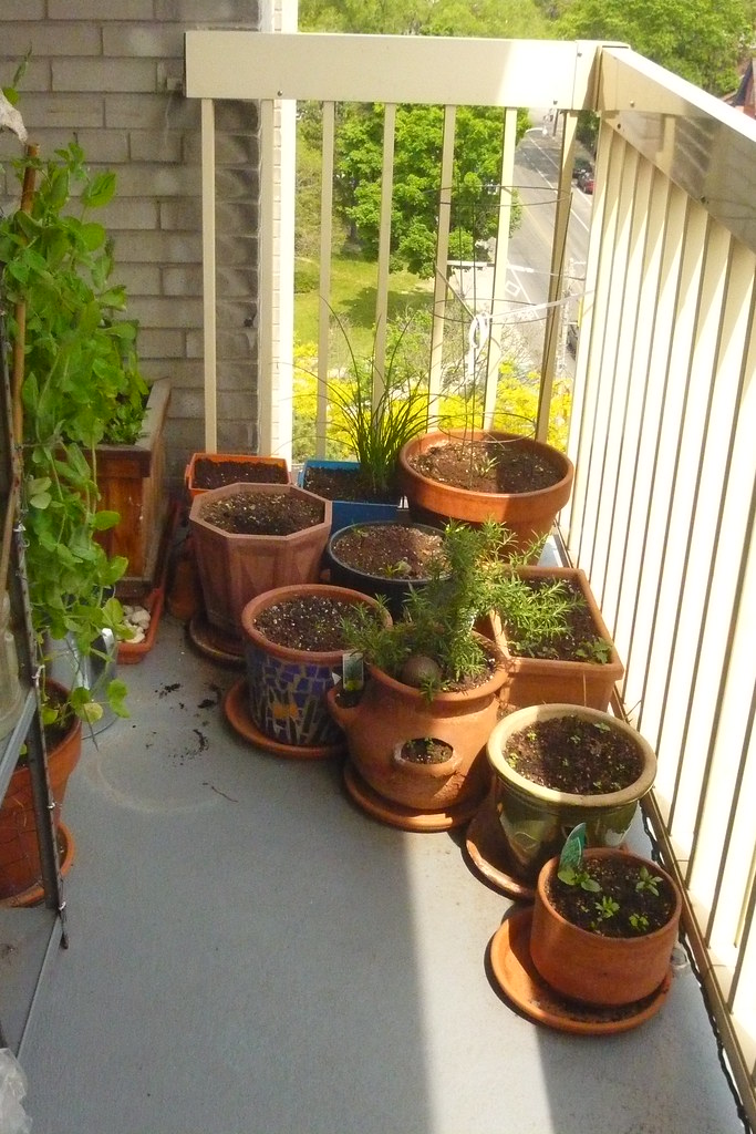 Balcony corner with a mini herb garden in pots.