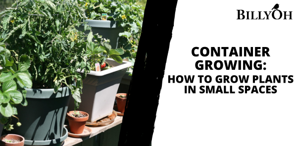Container Growing: How to Grow Plants in Small Spaces