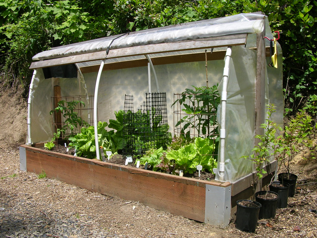 A raised-bed cloche, a covered structure with vegetation.
