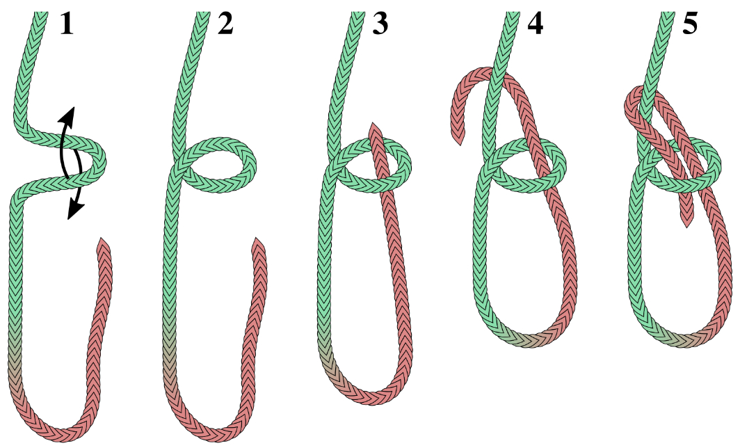 Step-by-step illustration showing how to tie a bowline knot, starting with a loop and ending with a secure knot.