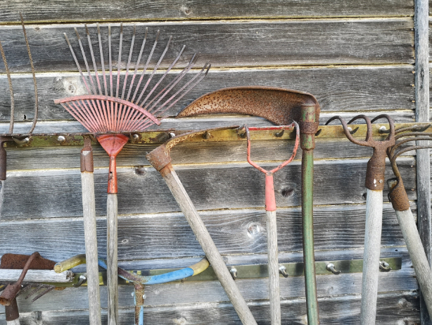 A garden tools rack with several tools hanging neatly, although some of them show signs of rust.