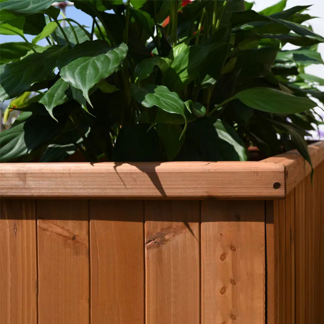 BillyOh Iris 72” Fir Wooden Planter