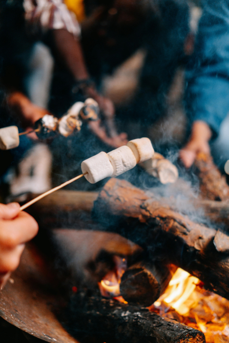 Marshmallows over a bonfire.