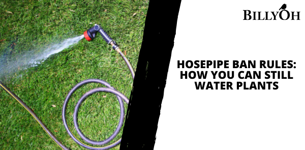 Hosepipe Ban Rules: How You Can Still Water Plants