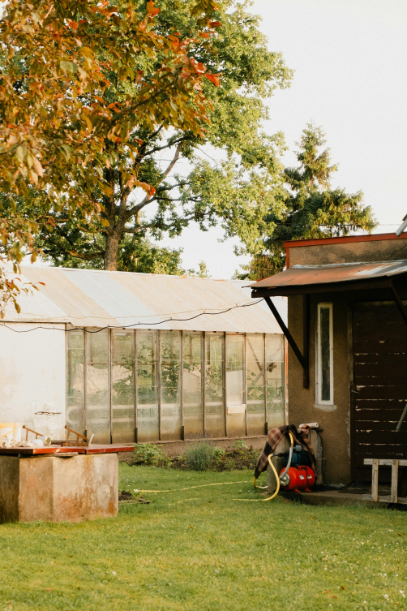 A backyard greenhouse surrounded by autumn trees and fallen leaves.