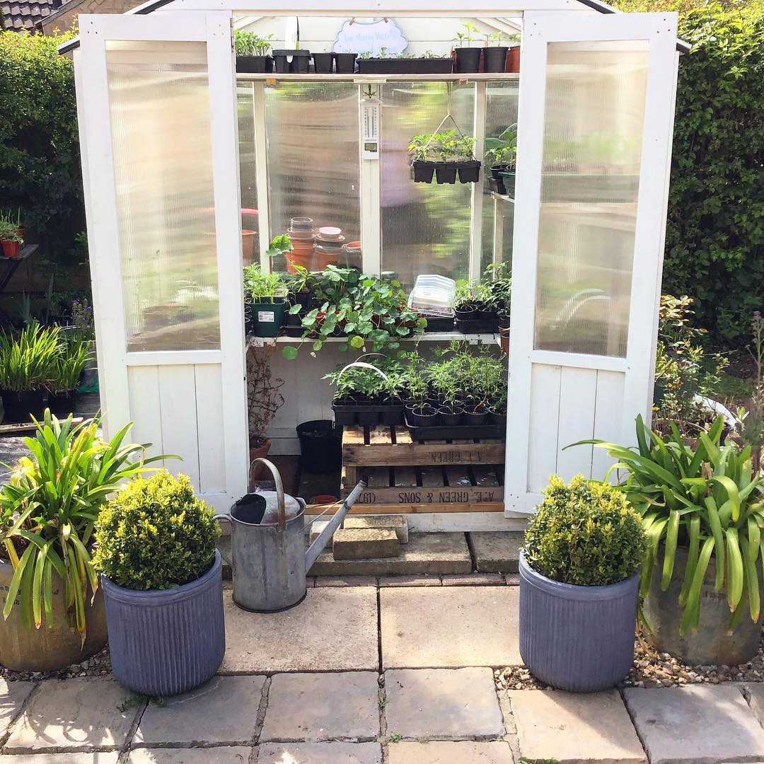 Customer’s Image: BillyOh 4000 Lincoln Wooden Polycarbonate Greenhouse