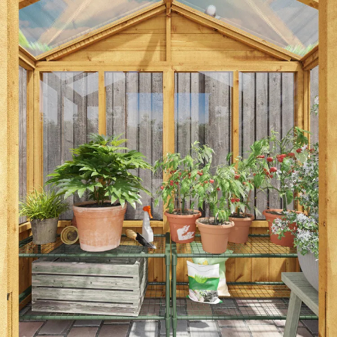 BillyOh 4000 Lincoln Wooden Clear Wall Greenhouse with Roof Vent