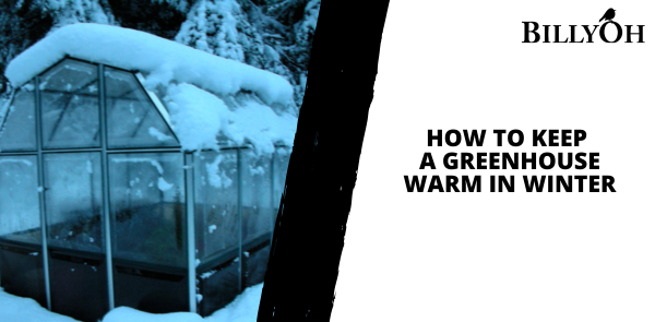 Easy Ways to Keep Your Greenhouse Warm in Winter