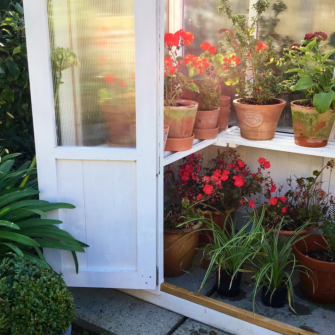 (Customer’s Image)