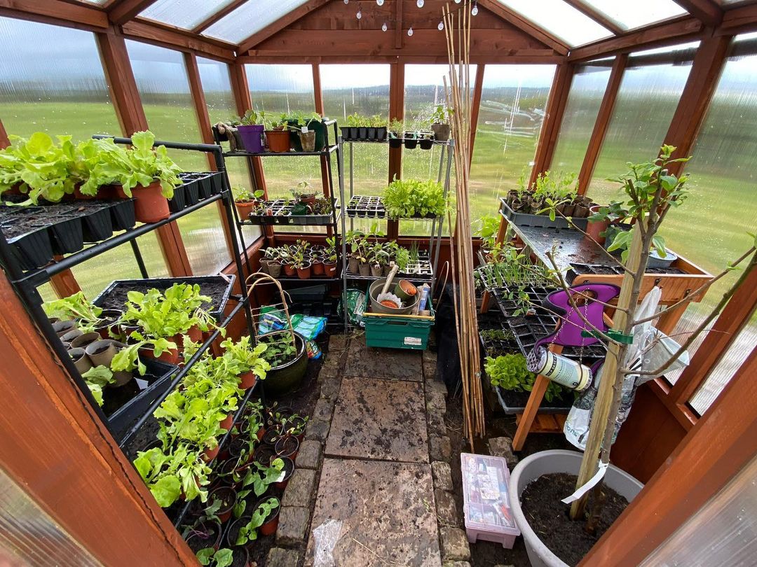 (Customer’s Image)