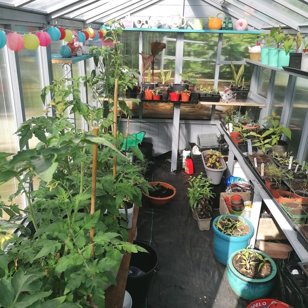 (Customer’s Image)