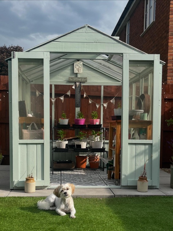 (Customer’s Image)