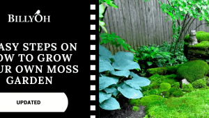 How to Grow a Moss Garden with garden statue