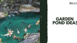 Garden Pond Ideas