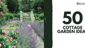 50 Cottage Garden Ideas